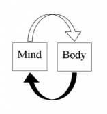 Mind body