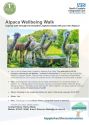 Alpaca Wellbeing Walk Keswick Jan 2023